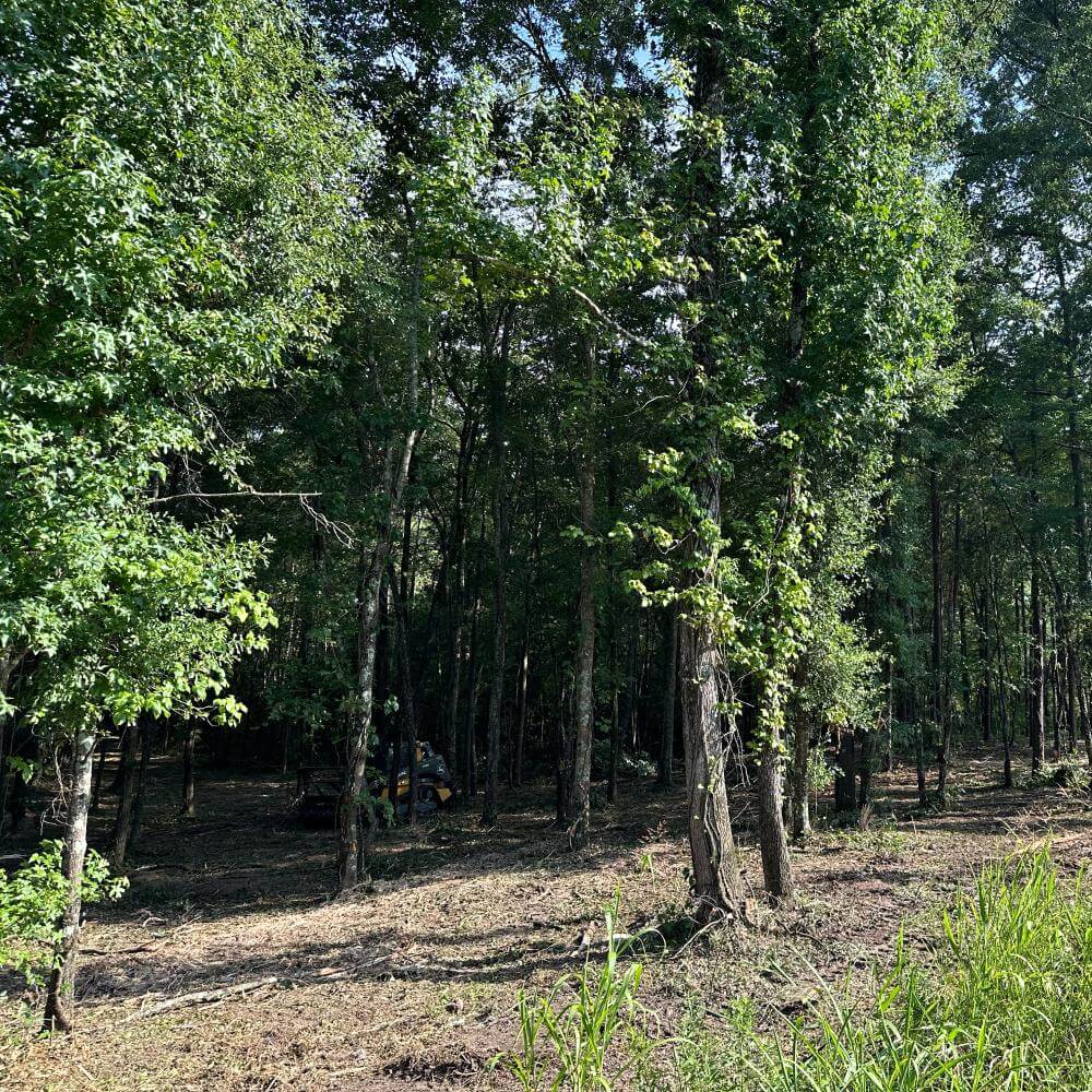 Land Clearing in Birmingham Al