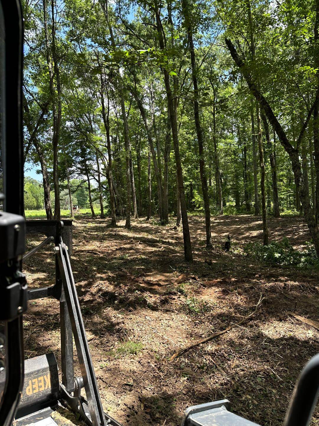 Forestry Mulching in Birmingham Al