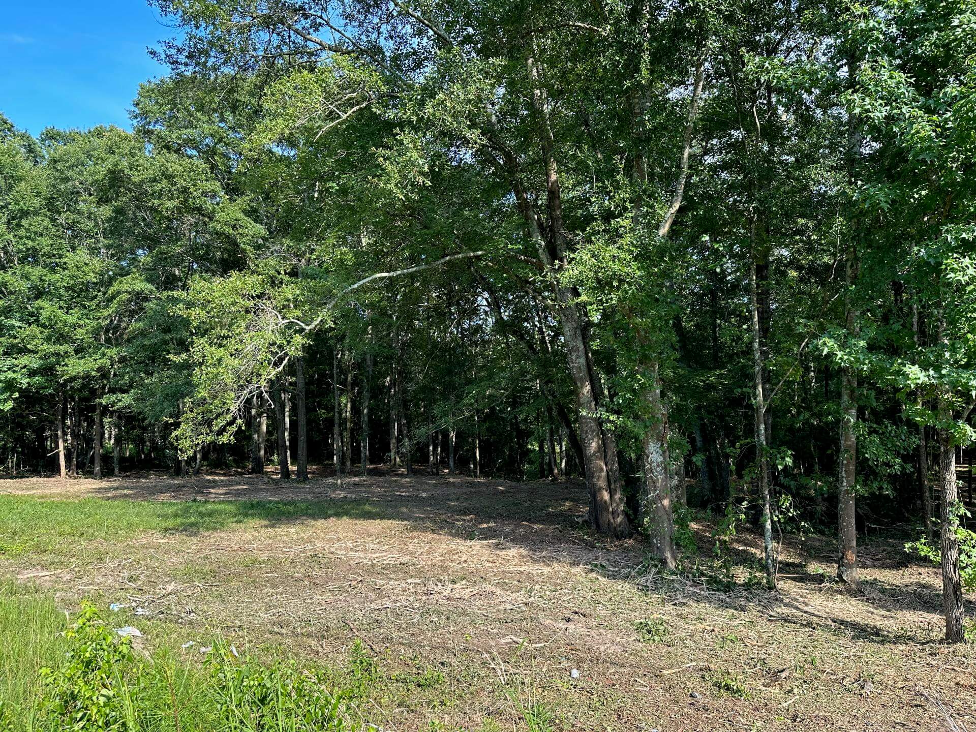 Site Prep Services in Birmingham Al