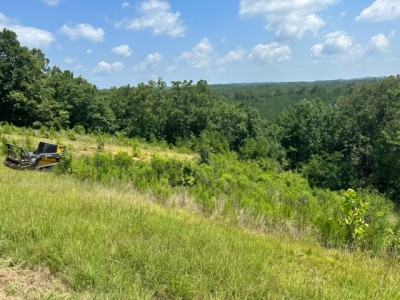 Hillside Brush Removal in Birmingham, Alabama Hillside Brush Removal in Birmingham, Alabama